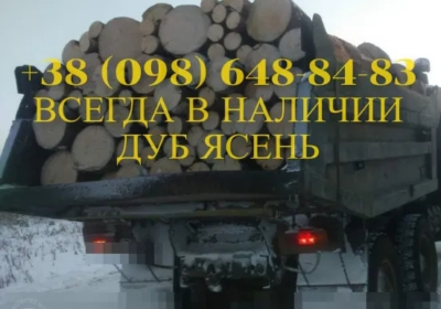 drova__dub_harkov_merefa_4048359