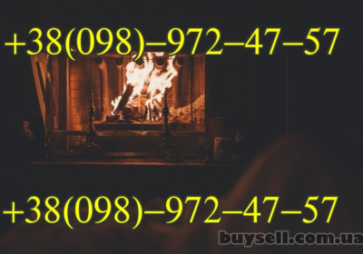 drova__dub_suhoy__suhostoy__harkov_i_oblast__4048358