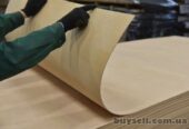 Фанера гибкая сейба ( 3,  5,  8 мм / 1, 22х2, 44м )