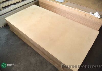 fanera_oblegchennaya_seyba_4037860