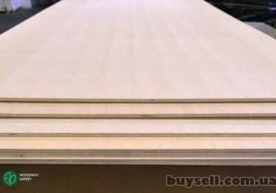 fanera_yasen_olivkovyy_4037940