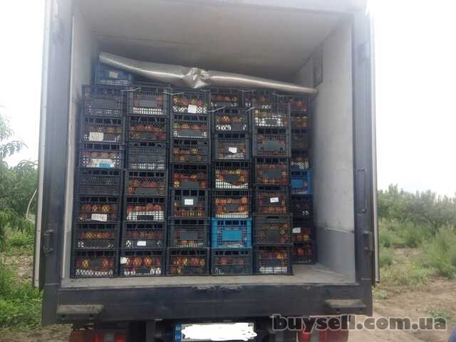 грузоперевозка продуктов!  фруктов!  и домашних переездов