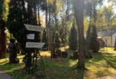 Реабілітація хворих  з гіпертонічною хворобою в санаторію