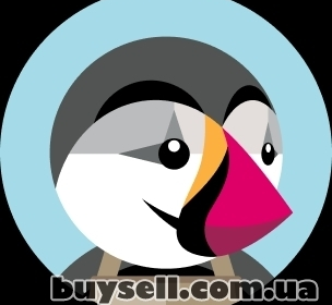 ivano-frankovsk-modul_integraciy_BAS__1C_ta_PrestaShop_vid_SoftUp_4046251