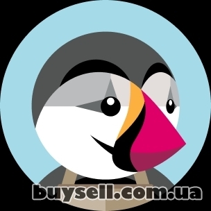 Модуль інтеграції BAS / 1C та PrestaShop від SoftUp