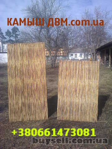 Камышовые маты ,  камышовая крыша ,камыш .