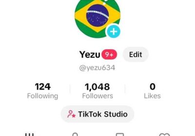 kiev-akkaunt_TikTok_braziliya_4061214