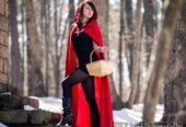 Аниматор Киев.  Фея в Киеве.  Аниматоры для мужчин.