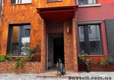 kiev-bez_kaDenyuk_homes__dim_de_ti_vidchuvaesh_sviy_vsesvit_4059699