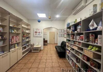 kiev-fasadne_primischennya_okremiy_fasadniy_vhid_4022790