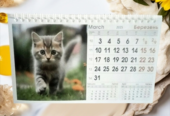 Календар Будиночок на спіралі на 2025 рік Kitty |Коти