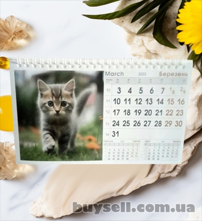 Календар Будиночок на спіралі на 2025 рік Kitty |Коти