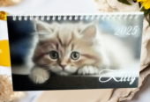 Календар Будиночок на спіралі на 2025 рік Kitty |Коти