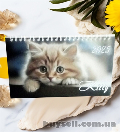 Календар Будиночок на спіралі на 2025 рік Kitty |Коти