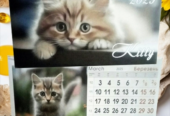 Календар Будиночок на спіралі на 2025 рік Kitty |Коти