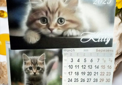 kiev-kalendar_budinochok_na_spirali_na_2025_rik_Kitty_koti_4029906