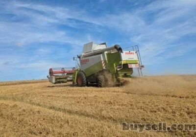 kiev-kombayn_Claas_Lexion_480_4040314