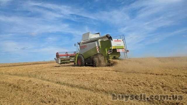 комбайн Claas Lexion 480