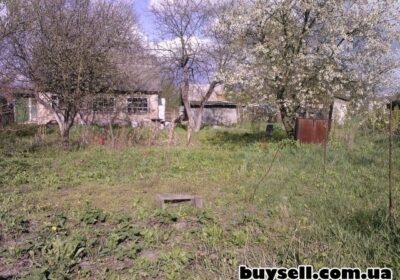 kiev-nivki_stara_dacha_lavina_epicentr_4039305