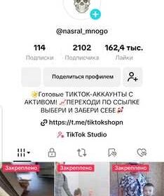 kiev-otlichnyy_TikTok_akkaunt_s_zhivoy_auditoriey_4059304