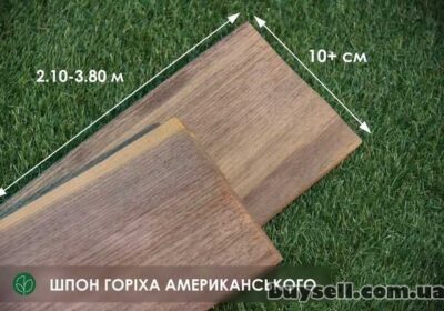 kiev-shpon_gorih_amerikanskiy_0_6_mm_aavB_v_nayavnosti_4035281