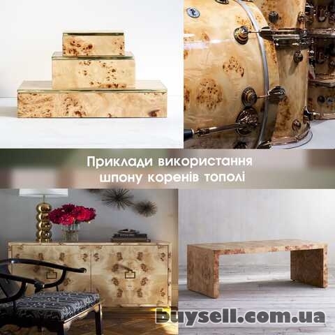 Шпон ТОПОЛЬ очковий товщина:  0, 7 мм / Кап (*карельська береза)