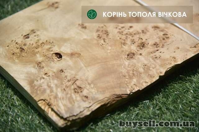 Шпон ТОПОЛЬ очковий товщина:  0, 7 мм / Кап (*карельська береза)