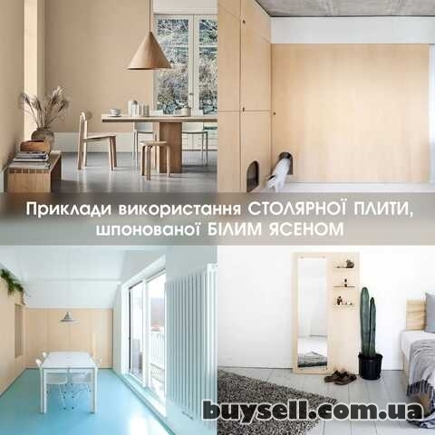 Столярна плита (blockboard)  2, 5х1, 25м /в наявності/