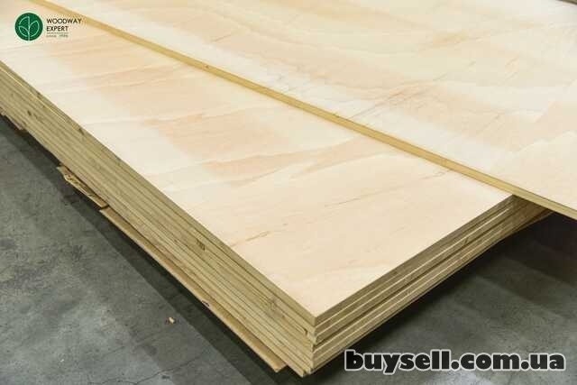 Столярна плита (blockboard)  2, 5х1, 25м /в наявності/