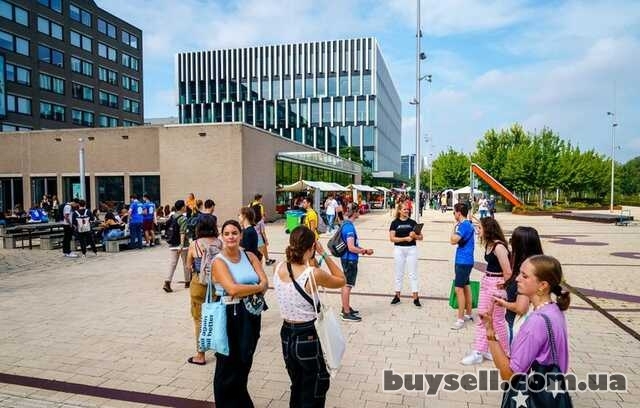 Вища освіта в Нідерландах
