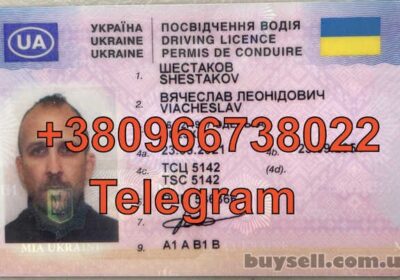 kiev-vodiyske_posvidchennya_kupiti_z_nulya_kiyv_ukrayna_4045380