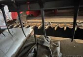 Жатка зернова Case IH 2020 7, 6 м