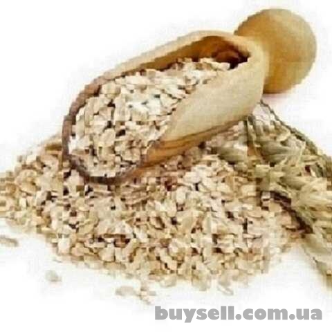 Продам крупу вівсяну від виробника фасування 25 кг.