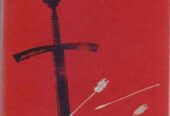 Книги изд-ва Кишинев (10шт) исторические детективы приключения