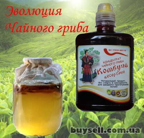 Комбуча десертний – концентрат чайного гриба,  0, 5 л,  1 л