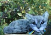 Котик сірий валяна іграшка інтерєрна сувенір подарунок кошка хендмєйд