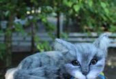 Котик сірий валяна іграшка інтерєрна сувенір подарунок кошка хендмєйд