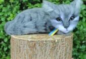 Котик сірий валяна іграшка інтерєрна сувенір подарунок кошка хендмєйд