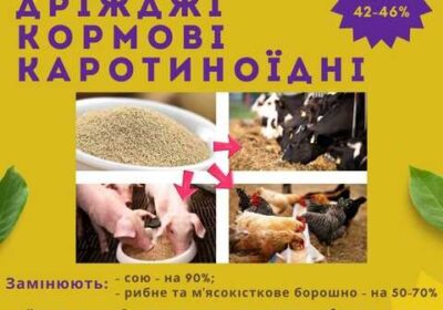 krivoy_rog-kormovye_drozhzhi__belkovo-vitaminnaya_dobavka_ot_proizvoditelya_4040009