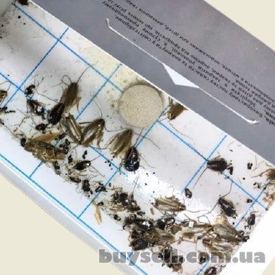 Ловушка для тараканов