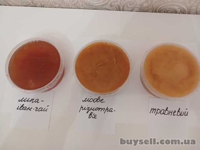 Мед з лісової пасіки