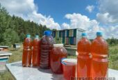Мед з лісової пасіки