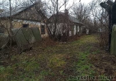 mironovka-prodam_budinok_v_s__rosava_2_km_vid_m__mironivka_4027725