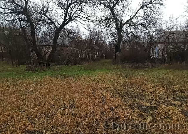 Продам будинок в с. Росава (2 км від м. Миронівка)