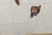 Наклейка Котик номер 3 для детской комнаты,  ванны