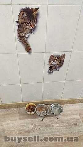 Наклейка Котик номер 3 для детской комнаты,  ванны