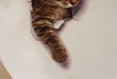 Наклейка Котик номер 3 для детской комнаты,  ванны