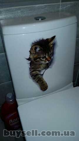 Наклейка Котик номер 3 для детской комнаты,  ванны