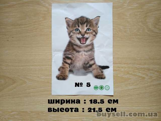 Наклейка котик номер 5 для ванны,  детской комнаты