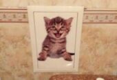 Наклейка котик номер 5 для ванны,  детской комнаты